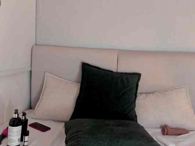 ARI-FLAME webcam