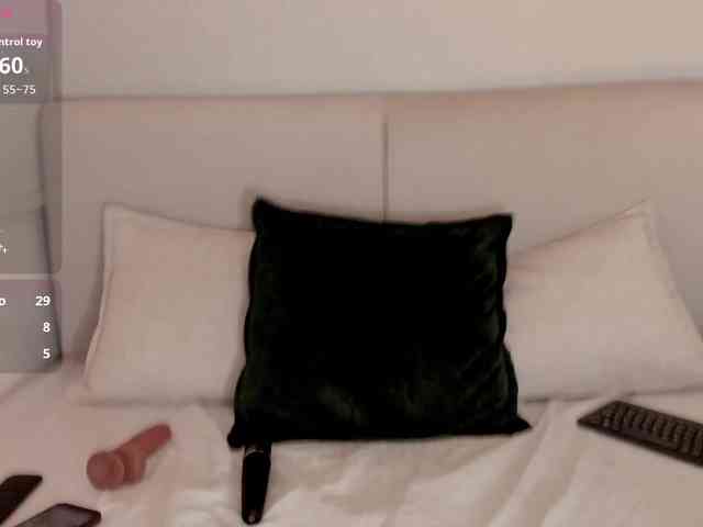 ARI-FLAME webcam