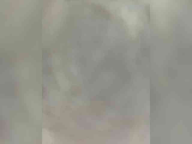 Eva-Kitty1 webcam