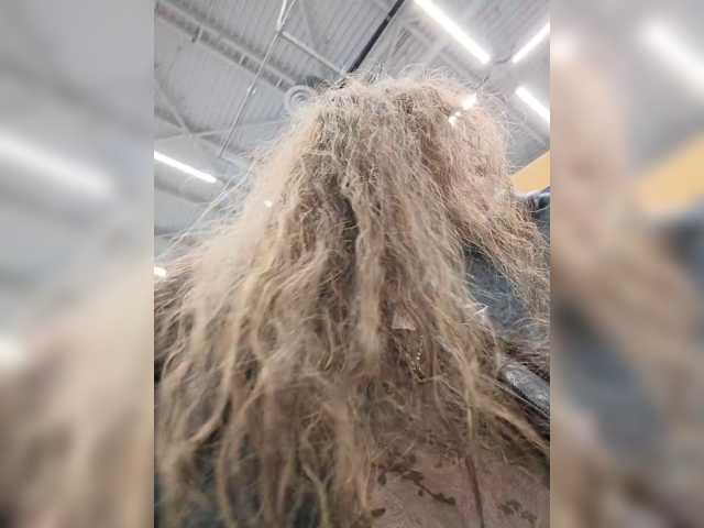 Annanas