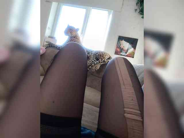 Annanas webcam