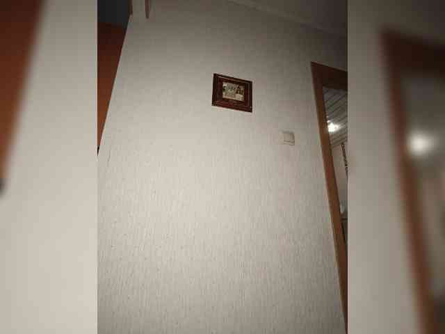 Annanas webcam