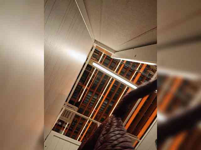 Annanas webcam