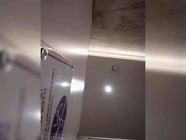 Annanas webcam
