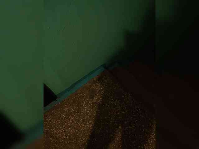 Annanas webcam
