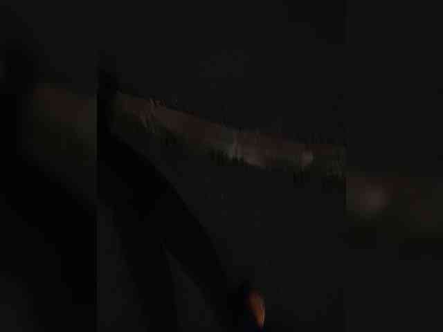 Annanas webcam