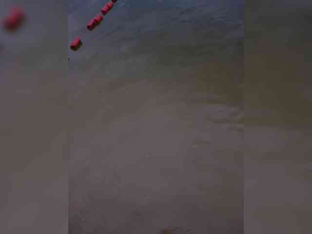 Annanas webcam