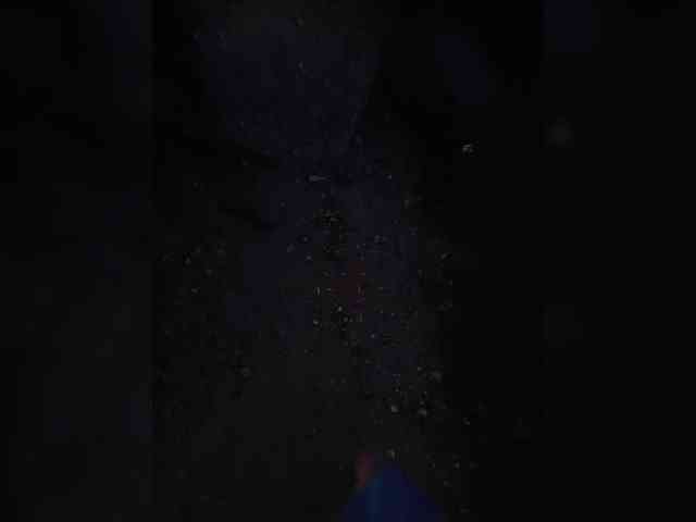 Annanas webcam