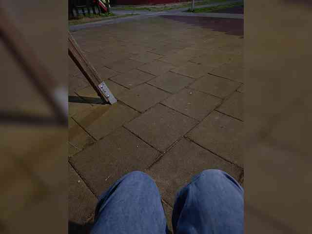 Annanas webcam
