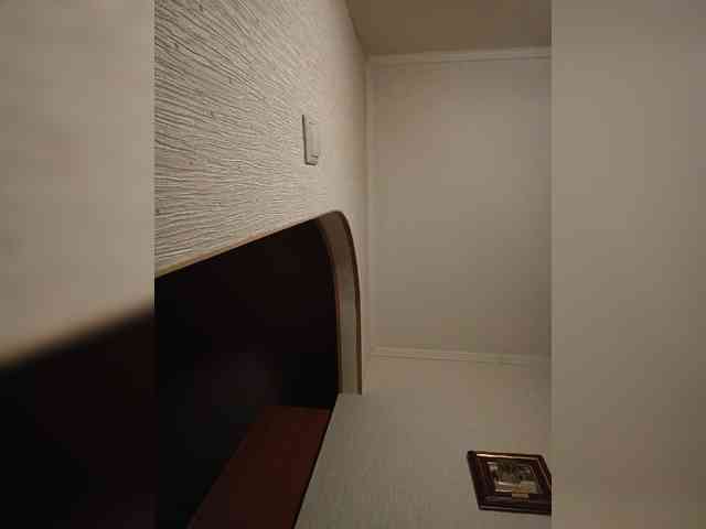 Annanas webcam