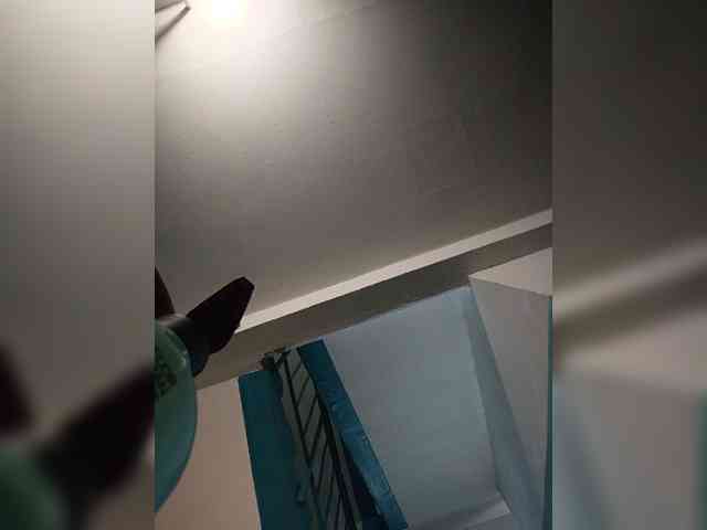 Annanas webcam