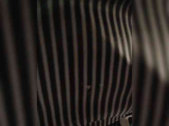 Annanas webcam