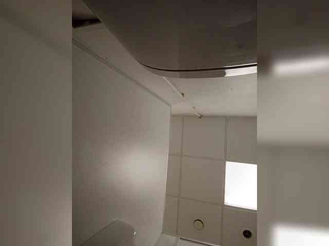 Annanas webcam