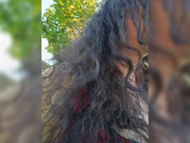 Annanas webcam