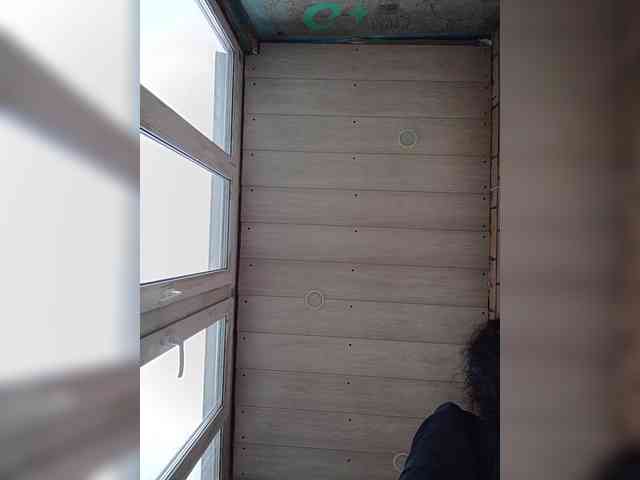 Annanas webcam