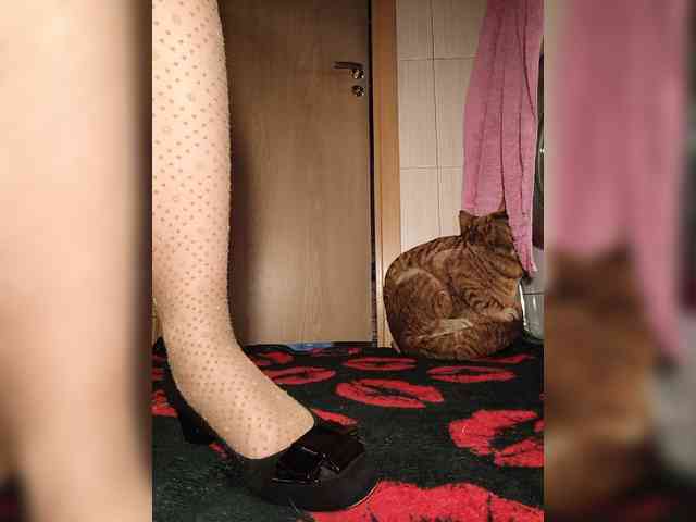 Annanas webcam