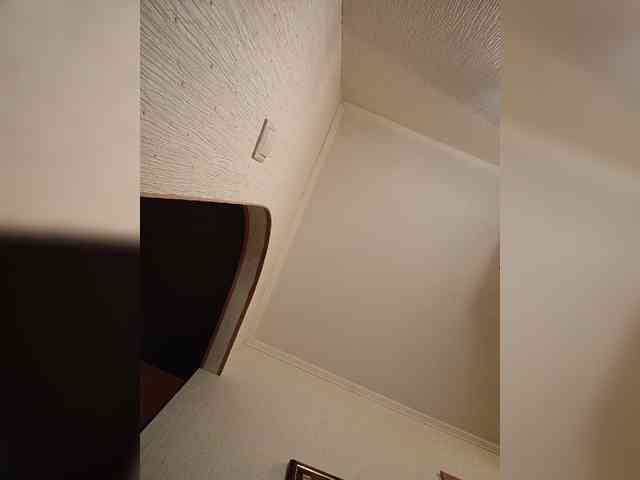 Annanas webcam