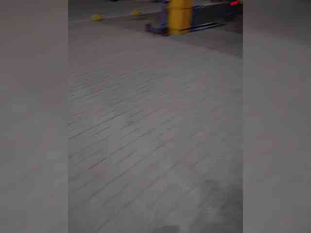 Annanas webcam