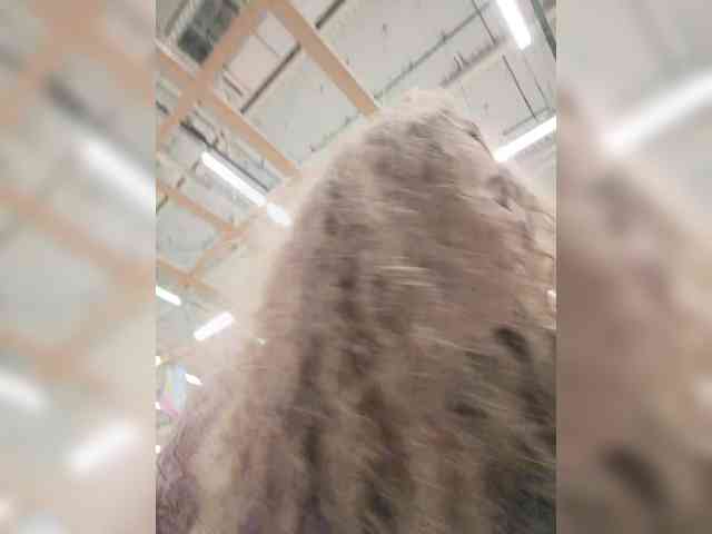 Annanas webcam