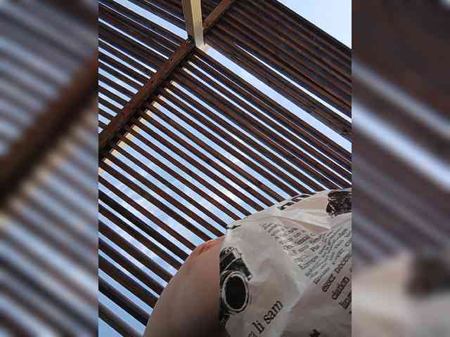 Annanas Annanas