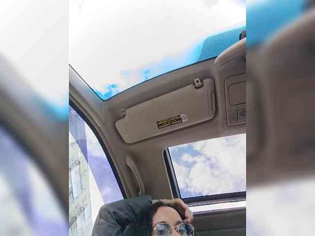 Annanas webcam