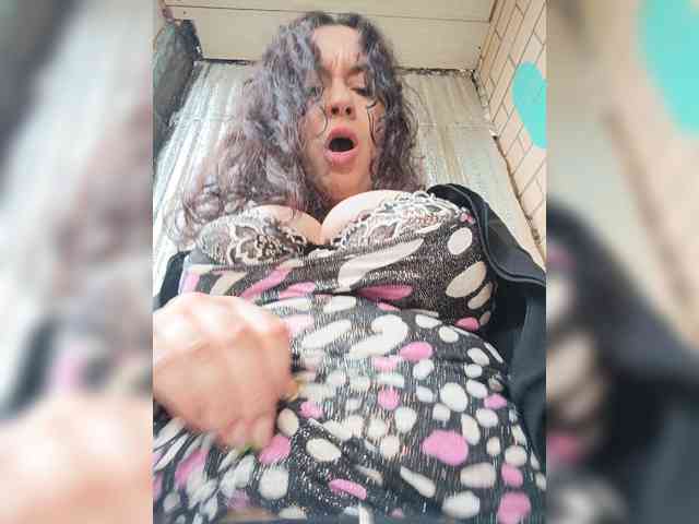 Annanas webcam