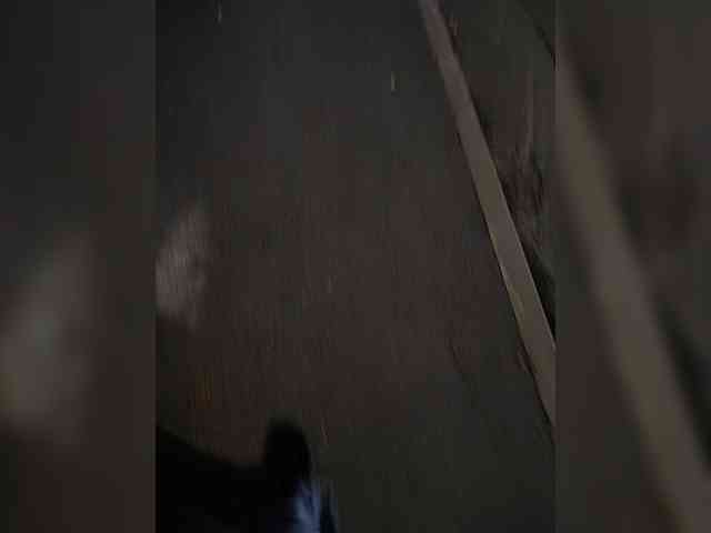 Annanas webcam