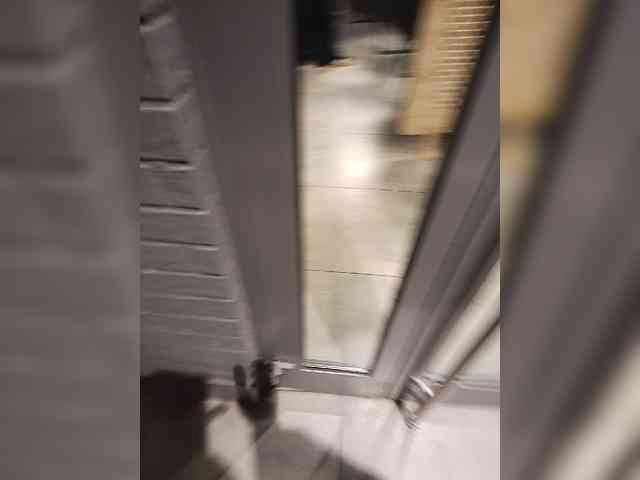 Annanas webcam