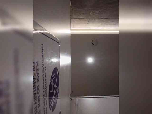 Annanas webcam