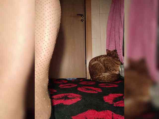 Annanas webcam