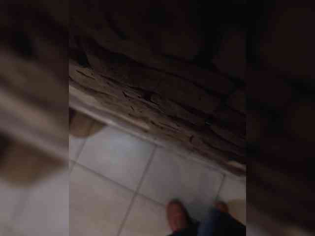Annanas webcam