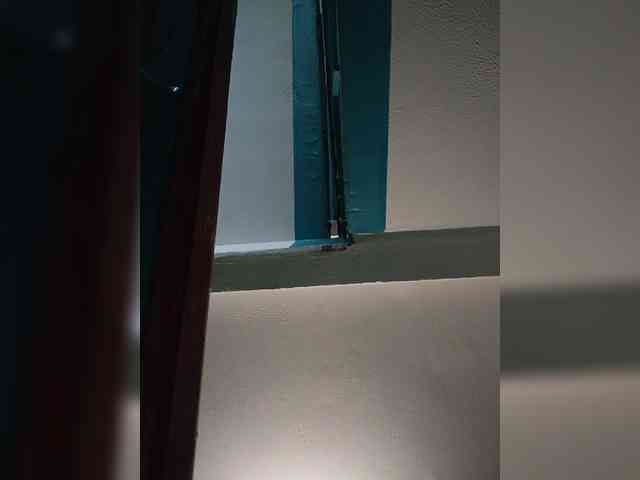 Annanas webcam