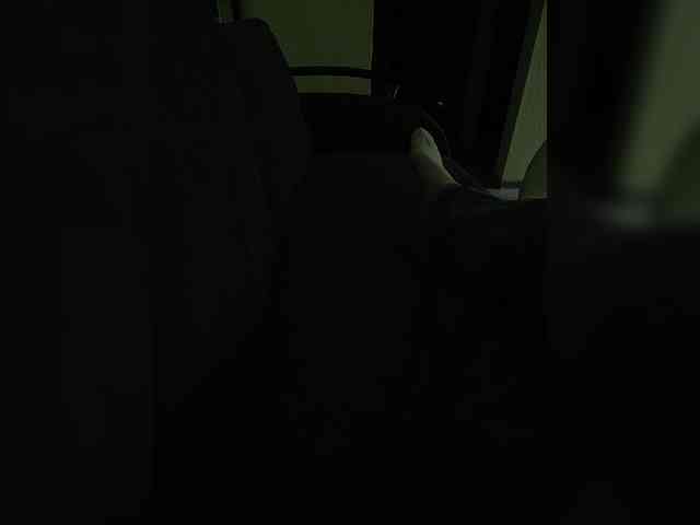 Annanas webcam