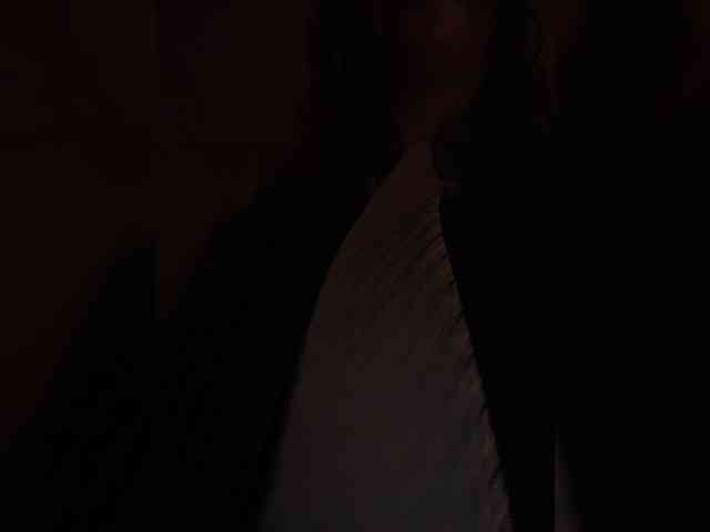 Annanas webcam