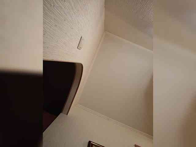 Annanas webcam