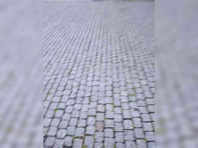 Annanas webcam