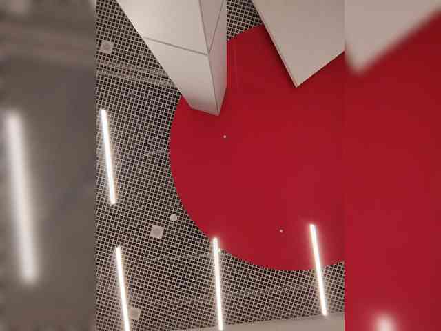 Модель: Annanas