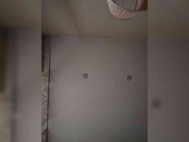 Annanas webcam