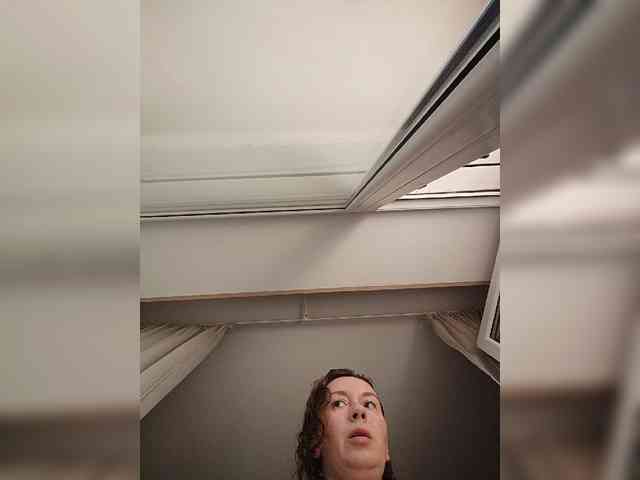 Annanas webcam