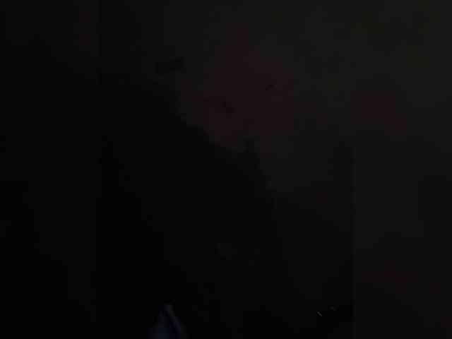 Annanas webcam