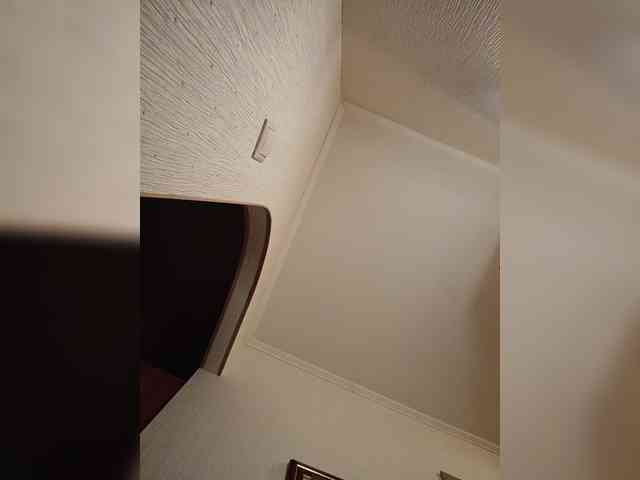Annanas webcam