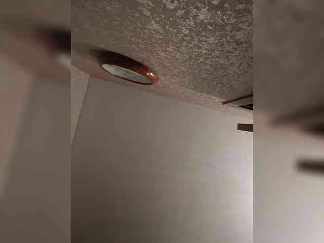 Annanas webcam