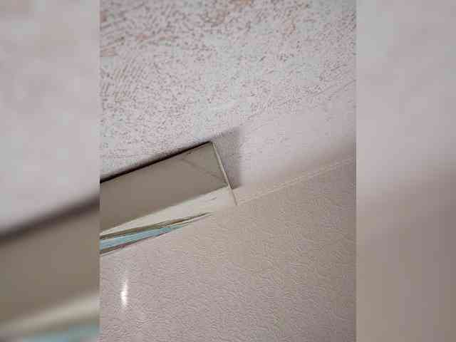 Annanas webcam