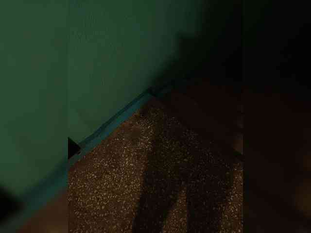Annanas webcam