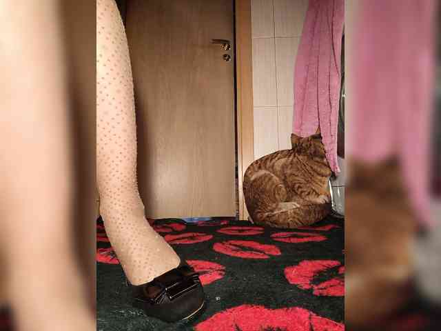 Annanas webcam