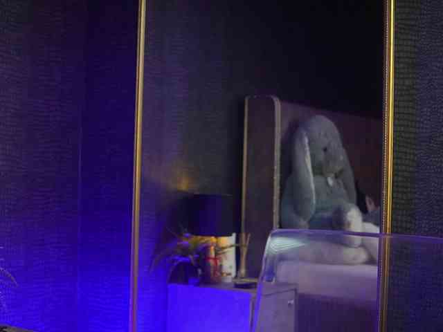GiaEasyIce webcam