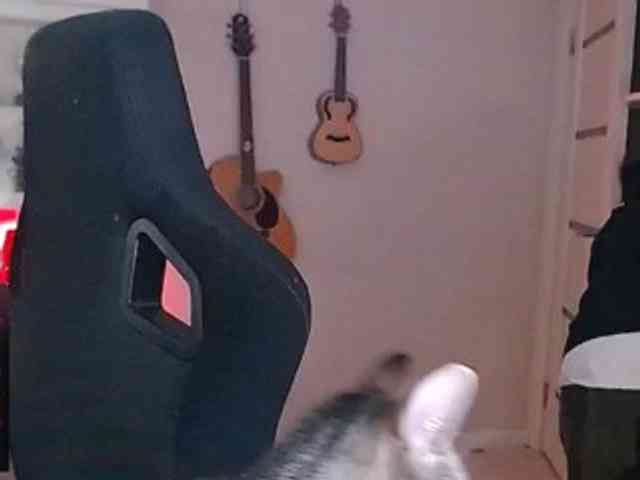 IrwiTomboy webcam