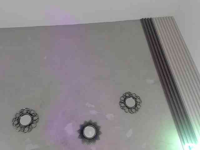 Evaa-white webcam