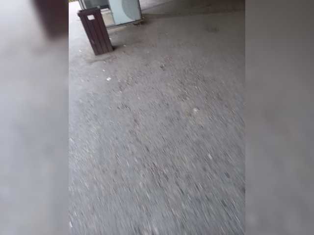 dimashka001 online