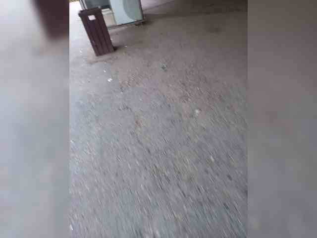 dimashka001 webcam